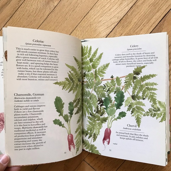 Going Green Good Clean Food Good Companions Book Bundle - Picture 5 of 15